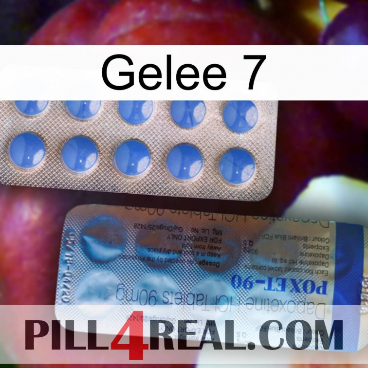 Jelly 7 40